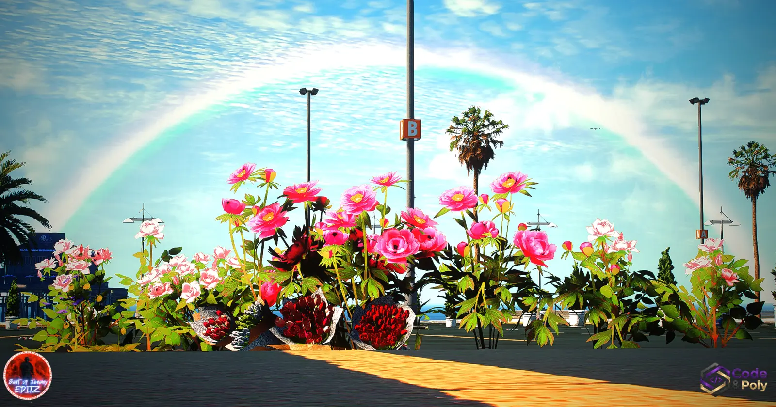 Code & Poly Blumen